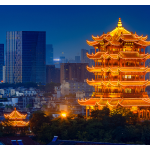 letou官网内容 —— 推动letou官网 IP 与品牌发展